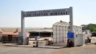 Diyarbakır'da Arazi Anlaşmazlığı Nedeniyle Çatışma Çıktı