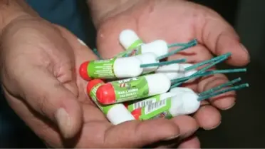 Domuzlara Karşı 'Torpilli Önlem'