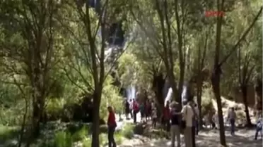 Tdf Başkanı Karaca Elma, Kızılcık Festivallerinin Yerini Doğa Aldı