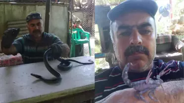 En Büyük Zevki Yılan Ve Akrep Yakalamak