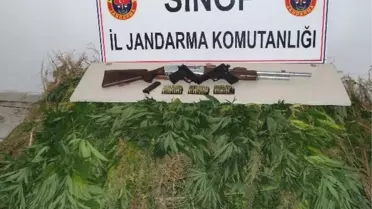 Jandarma 2 Bin 171 Kök Hint Keneviri Ele Geçirdi