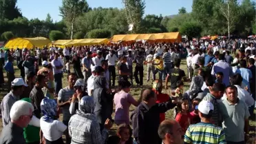 Merder Festivali Suriye'de ve Mısır'daki Katliam Nedeniyle İptal Edildi