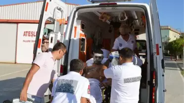 Orman Muhafaza Memuru Yaşam Savaşını Kaybetti