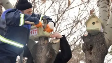 Park ve Bahçelerdeki Zararlı Böceklerle Mücadelede Kuşlar Kullanılacak
