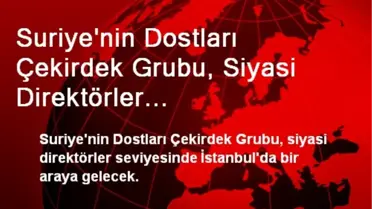 Suriye'nin Dostları Çekirdek Grubu, Siyasi Direktörler Seviyesinde Toplanıyor