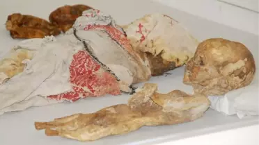 Aksaray Müzesi'ndeki Mumyalar İklim Şartlarına Göre Korunacak