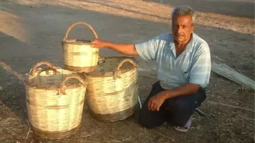 Zeytin Sepeti Örüyor