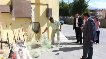 Tırıvırı Balıkları Katlediyor