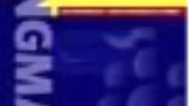 Longman Active Study Dictionary Kitabı