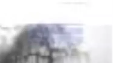 Yalnızgezerin Düşleri Kitabı