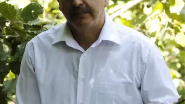 Karadeniz: 'Fındık Yok Olma Tehlikesi ile Karşı Karşıya'