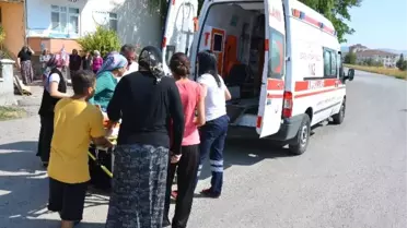 Halı Yıkamak İsterken Düştü