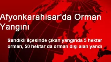 Afyonkarahisar'da Orman Yangını