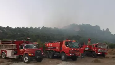 Foça'da Orman Yangını