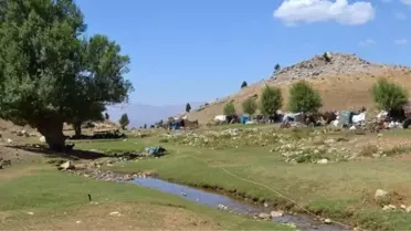 Yolları Açılan Yaylacılar Rahata Kavuştu