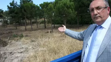 AK Parti'den Nilüfer'de Stadyum İçin Ağaçların Kesilmesine Tepki