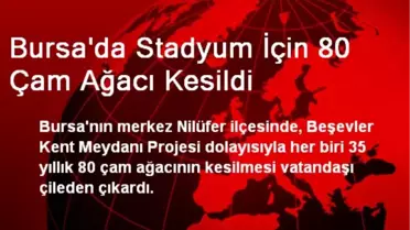 Bursa'da Stadyum İçin 80 Çam Ağacı Kesildi