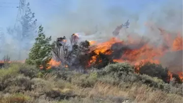 Hatay'da Orman Yangını