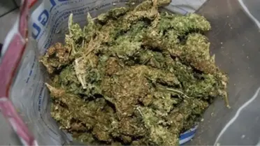 Kayseri'de Tarım İşçisinin Çadırında 277 Gram Esrar