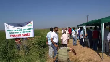 Mardin'de Entegre Mücadele Eğitimi Gerçekleştirildi