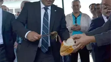 Ordu'da Balıkçı Şenliği