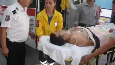 Fındık Bahçesinde Omzundan Vuruldu
