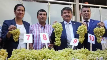 Sarıgöl 9. Sultaniye Üzüm Yarışması Sonuçlandı