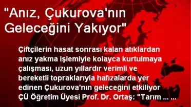 'Anız, Çukurova'nın Geleceğini Yakıyor'