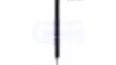 Liedler ve Ozanlar Kitabı