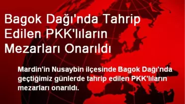 Bagok Dağı'nda Tahrip Edilen PKK'lıların Mezarları Onarıldı