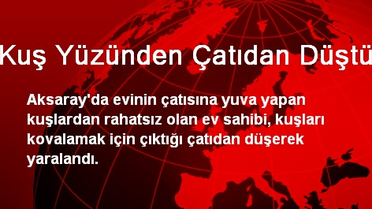 Kuş Yüzünden Çatıdan Düştü