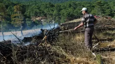 Havran'da 3 Hektar Orman Kül Oldu
