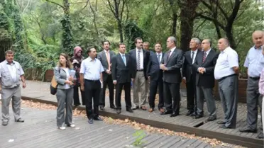 Mahfel Gerçek Kimliği İle Yeniden Hizmete Giriyor