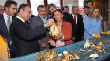 Bozdağ, 'Su Akar, Türk Bakar, Atasözü Artık Değişti'