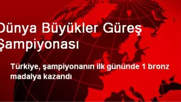 Dünya Büyükler Güreş Şampiyonası