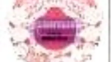 (S)özdeyişler Kitabı