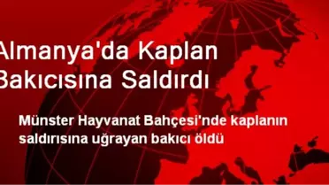 Almanya'da Kaplan Bakıcısına Saldırdı