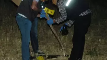 Koyun Otlatma Kavgası: 7 Yaralı