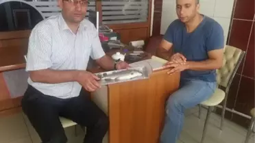 Mardin Gıda Tarım ve Hayvancılık İl Müdürlüğü'nden Su Ürünlerini Denetimi
