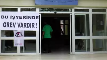 Tunceli'deki Elektrik Kesintilerinin Nedeni 'Grev'