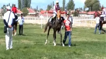 '2013 Sonbahar Mahalli At Yarışları' ESKİŞEHİR