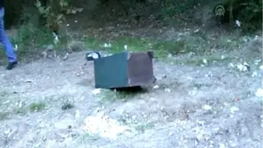 Çaldıkları Çelik Kasayı, İçini Boşaltıp Attılar