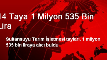 14 Taya 1 Milyon 535 Bin Lira