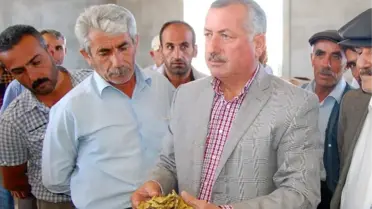 Tütün Adıyaman'a Büyük Girdi Sağlıyor