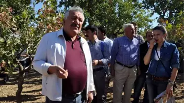 Başkan Sadak: Siirt Fıstığı Dünyanın En İyi Fıstığı Arasında
