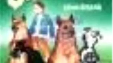 Cesur Yürekli Şaşkalozlar Kitabı