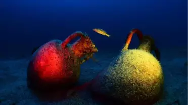 Altın Paletler Belli Oldu