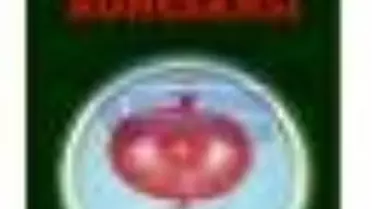 Cehaletin Rönesansı Kitabı