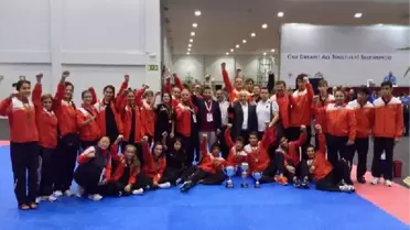 Türkiye Tekvando Avrupa Gençler Şampiyonu, Habere Ek