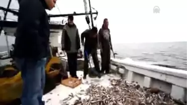 Balık avı araçlarının denize etkisini araştırıyorlar SAMSUN